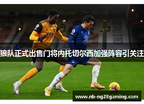 狼队正式出售门将内托切尔西加强阵容引关注